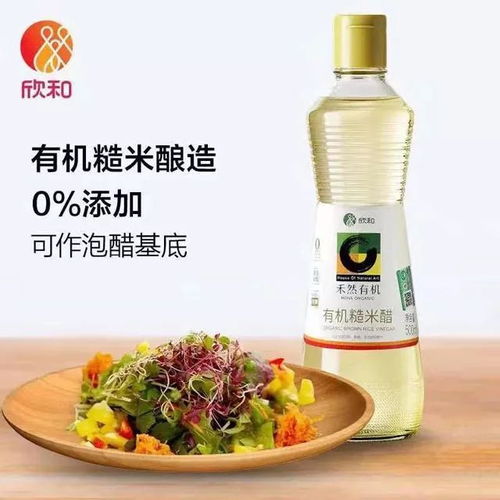 慈悲入膳，古法新生 一瓶素心腐乳的修行之路